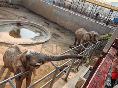 -西霞口神雕山野生动物世界