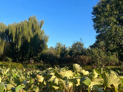 -燕郊植物园