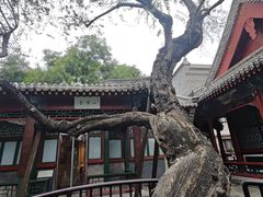 -莲池书院博物馆