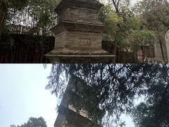 -兴教寺