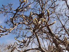 -国家植物园南园