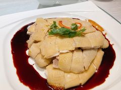 招牌白切鸡-朱仔记食府(江南大道店)
