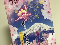 -富士山吉田線五合目