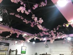 -Ly形象设计