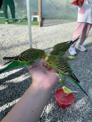 -萌宠亲子动物乐园(槐房万达店)