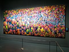 -罗红摄影艺术馆