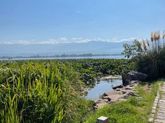 -西昌邛海湿地