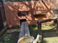 -青藏高原野生动物园