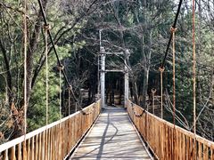 -帽儿山国家森林公园