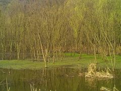 景点-西湖风景区-江洋畈生态公园