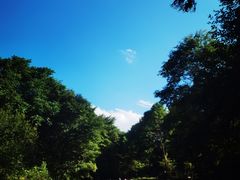 -帽儿山漂流