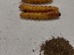 -老张烤羊(王哥庄店)