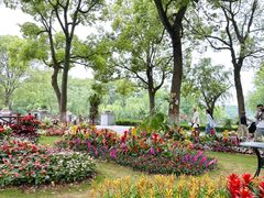 -上海鲜花港