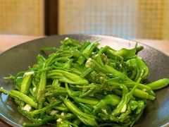 清炒水性杨花-紫滇源云南生态菜(丹凤街店)