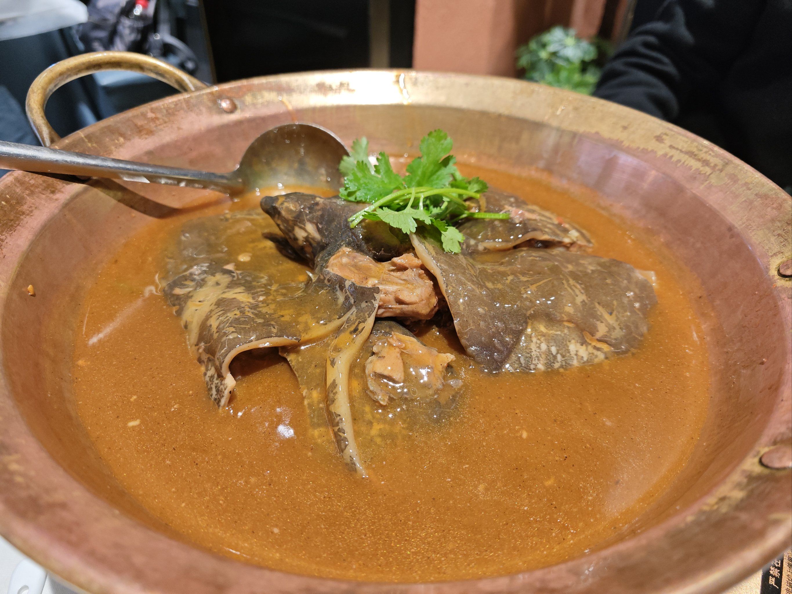 这里的甲鱼捞饭是一绝
