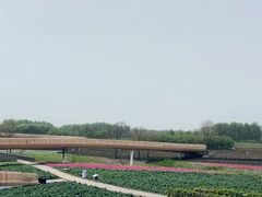 -江苏三台山国家森林公园