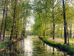 -溱湖国家湿地公园