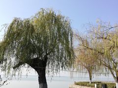 -品鲜村农家菜·阳澄湖大闸蟹(总店)