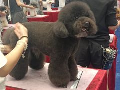 -深圳龙华星河COCO City(民治店)