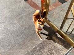 -瑞幸咖啡(巴黎春天陕西路店)