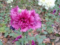 -白塘生态植物园