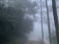 -金鱼妈妈 山野·食趣(荫山街店)