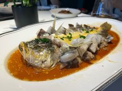 肉汁蒸大黄鱼-炳胜品味(海印总店)