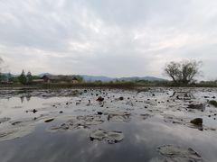 -长兴太湖图影湿地文化园