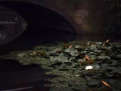 -杭州城北体育公园