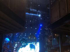 -胡桃里音乐酒馆(曲江店)