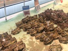 -盒马鲜生(红莲店)