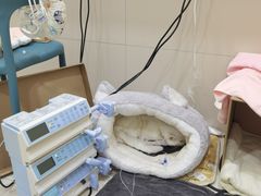 -御宝贝24h宠物医院·转诊中心·CT核磁血透中心(厦门总院)