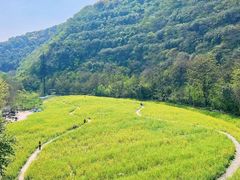 -临平公园(临平街道)