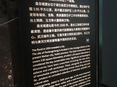 -盘龙城遗址博物院