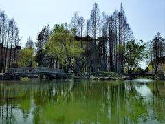 -大宁公园