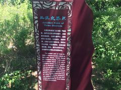 -阳台山自然风景区