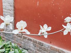 -西安市广仁寺