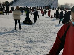 -绿野森林乐园冰雪季