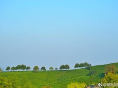 -帐篷客·溪龙茶谷度假酒店