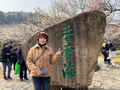 -香雪海