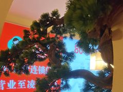 -豆花姐烂豆花火锅(东岳大街奥来新天第店)