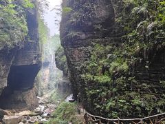 -鹿院坪生态旅游景区