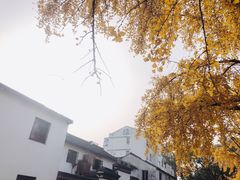 -苏州市立医院本部母子保健中心
