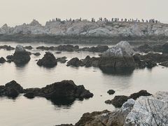 -养马岛旅游度假区