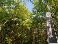 -青龙山国家森林公园