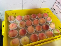 -老袁家蜜桃农场·阳山水蜜桃