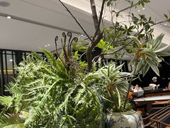 -金春禧(世茂国际广场店)
