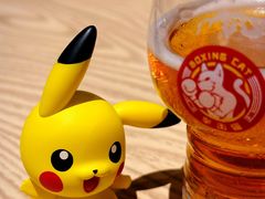-Boxing Cat Brewery拳击猫精酿啤酒馆(永福店)