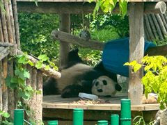 -大连森林动物园