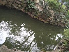 -绮园景区